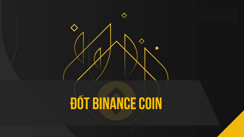 Binance Coin là gì